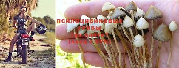 ешки Алзамай