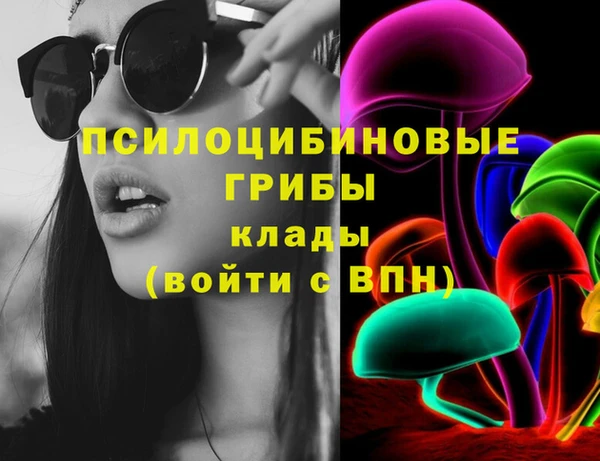 ешки Алзамай
